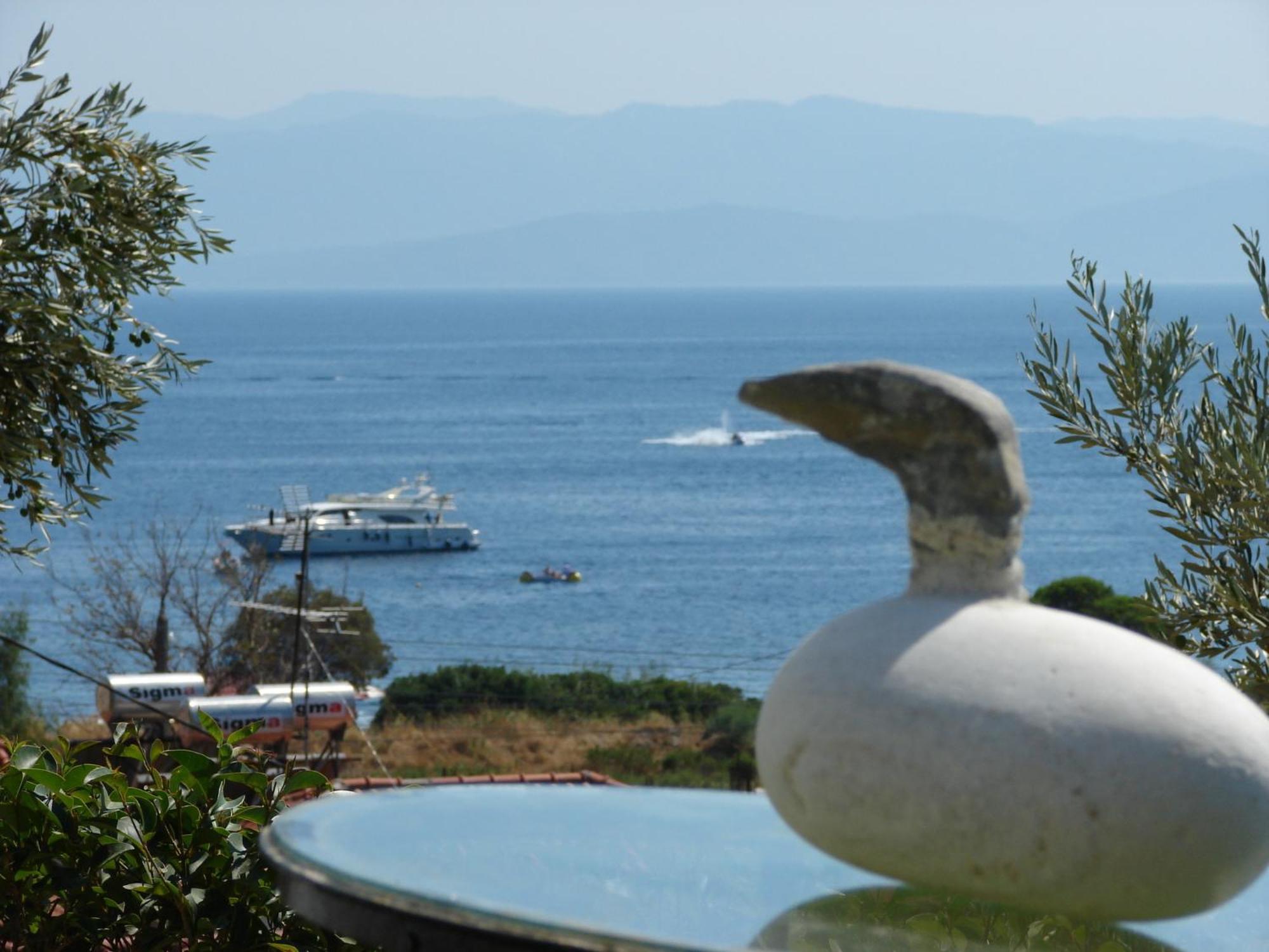 Villa Frideriki Aya Paraskevi Dış mekan fotoğraf