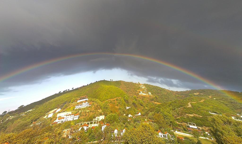 Villa Frideriki Aya Paraskevi Oda fotoğraf