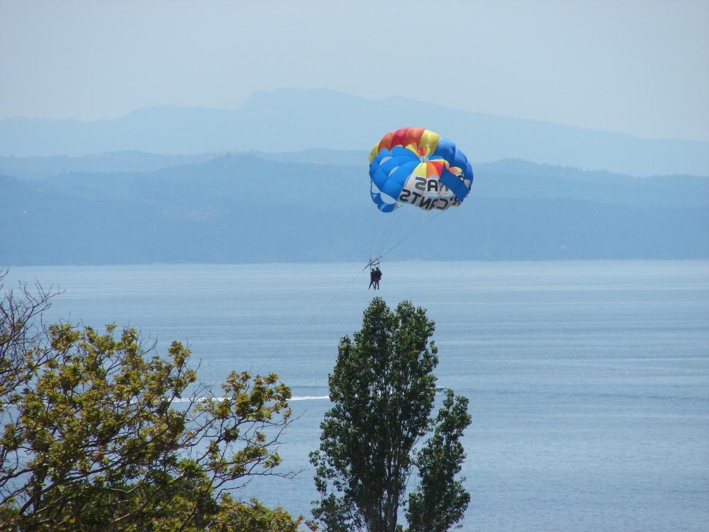 Villa Frideriki Aya Paraskevi Dış mekan fotoğraf